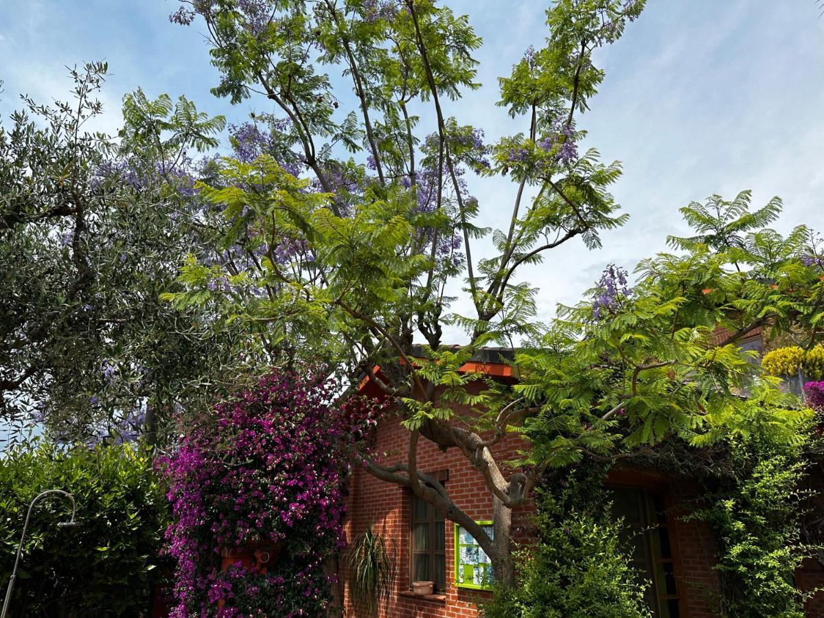 Relais San Damian Aparthotel Imperia Exterior photo
