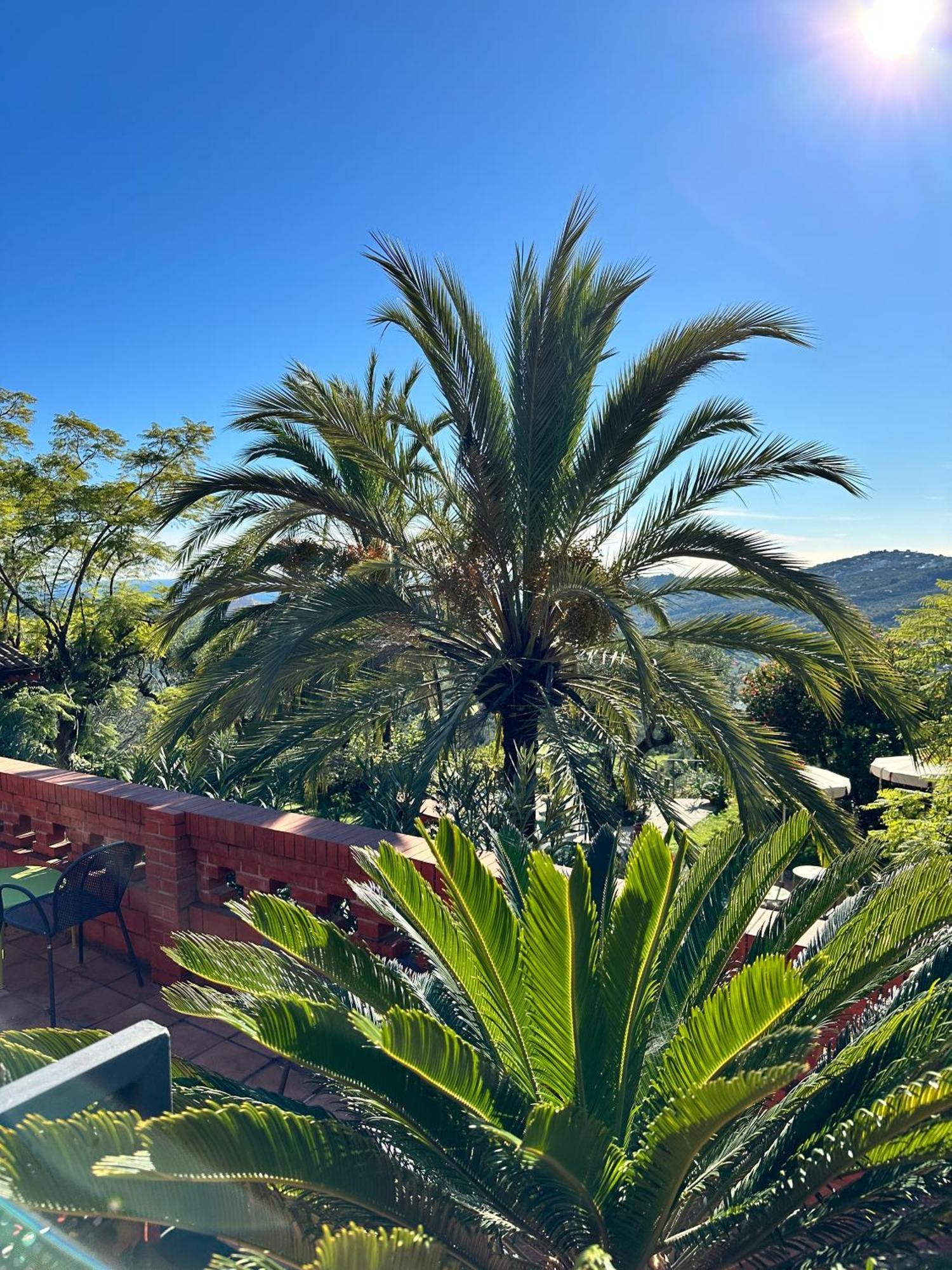 Relais San Damian Aparthotel Imperia Exterior photo