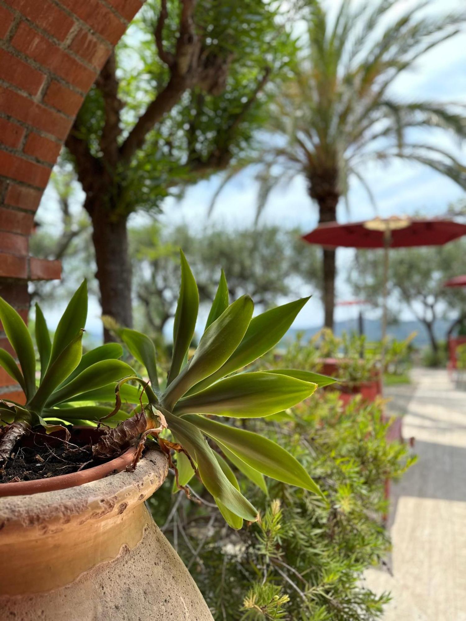 Relais San Damian Aparthotel Imperia Exterior photo